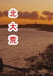 不卡免费视频