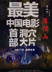 毒蛇电影官网
