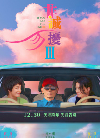 台湾佬综合