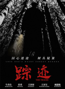国产精品入口在线看麻豆
