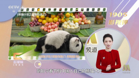 公与女伦理bd